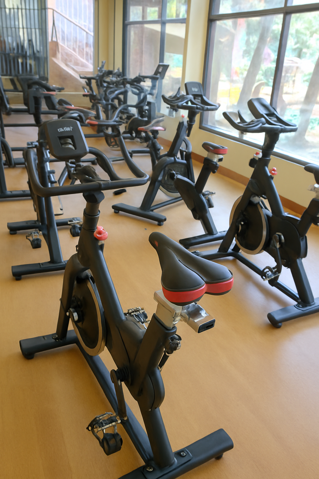 Gym Equipment main